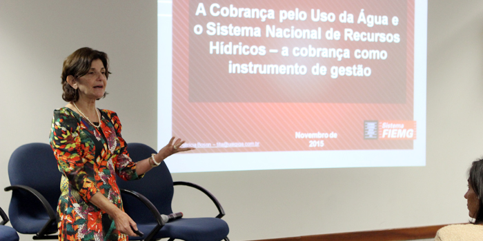 A secretária executiva dos Conselhos Empresariais de Meio Ambiente e Infraestrutura da Fiemg, Patrícia Boson (Foto: Thiago Rios Gomes)